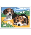 CreArt - Serie D: Cuccioli Jack Russell