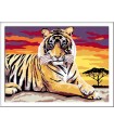 CreArt - Serie D:Tigre