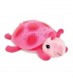 Twilight Ladybug Rosa