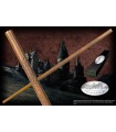 Harry Potter: Bacchetta Magica di James Potter