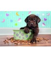 Puzzle da 180 Pezzi - Cucciolo di Cane
