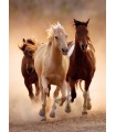 Puzzle da 1000 Pezzi - Running Horses