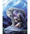 Puzzle da 1000 Pezzi - Protector