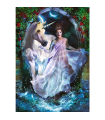 Puzzle da 1000 Pezzi - Magical Universe