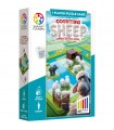 Counting Sheeps - Conta le Pecorelle