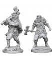 D&D Nolzur's Marvelous - Human Male Barbarian