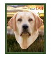 Puzzle da 550 Pezzi Sagomato - I Am Lab