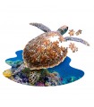 Puzzle da 100 Pezzi Sagomato - I Am Lil'  Sea Turtle
