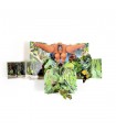 Pop Up XXL - Foreste Tropicali