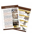 Teschio di T-Rex