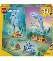 Creator - Animali marini: meravigliosi delfini
