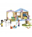 Friends - Clinica veterinaria