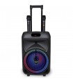 Trolley PRO Amplificatore Wireless con 2 Microfoni Wireless , Equalizzatore  e Funzione TWS