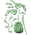 Archeogiocando - Pteranodonte & Velociraptor