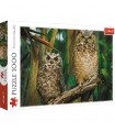 Puzzle da 1000 Pezzi - Gufi