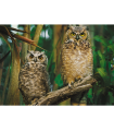 Puzzle da 1000 Pezzi - Gufi