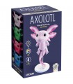 Rainy Days - Axolotl