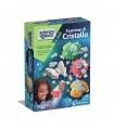 Scienza & Gioco - Formine di Cristallo