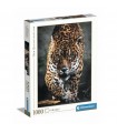 Puzzle da 1000 Pezzi - Camminata del Giaguaro