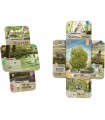 Forest Shuffle - Dartmoor: Ed. Italiana