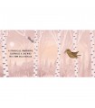 Dolci Storie Sonore - Gli Uccelli