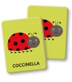 Montessori - Flashcards: Primo Memo