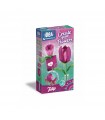 Idea - Crea i Tuoi Fiori: Tulipano