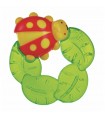Mordicchioso Coccinella