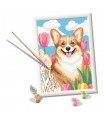 CreArt Serie D - Corgi