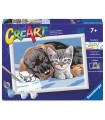 CreArt Serie D - Amicizia Speciale