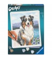 CreArt Adulti Serie Trend C - Pastore Australiano Blue Merle