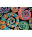 Pzl 500 Hqc Colorboom Curly Tails