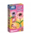 Idea - Mini Lab.Fiori - Anemone