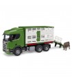  Scania Super 560R camion trasporto bestiame con un bovino