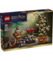 Harry Potter - Piante di erbologia di Hogwarts