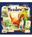 Meadow - Gioco da Tavolo di Esplorazione della Natura per 1-4 Giocatori, Educativo e Strategico con Carte Illustrate