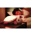 Twilight Ladybug Rosa