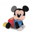 Baby Mickey Gattona con Me