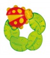 Mordicchioso Coccinella