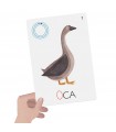 Flashcards Lavagnette Leggo e Scrivo