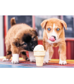 Puzzle da 500 Pezzi - Ice cream time!