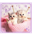 3 Puzzle in 1 - Dolci Gattini