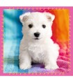 3 Puzzle in 1 - Cagnolini nel Bagno