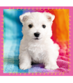 3 Puzzle in 1 - Cagnolini nel Bagno