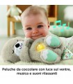 Lontra Coccole e Relax