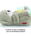 Lontra Coccole e Relax