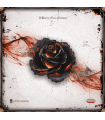 Black Rose Wars