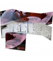 Dungeons & Dragons: Schermo del Dungeon Master
