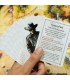 Western Legends: L'Uomo in Nero - Espansione Multigiocatore (2-6 Giocatori, 90 min) - Gioco di Strategia e Bluff 