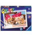 CreArt - Serie D: Gattini sul cuscino